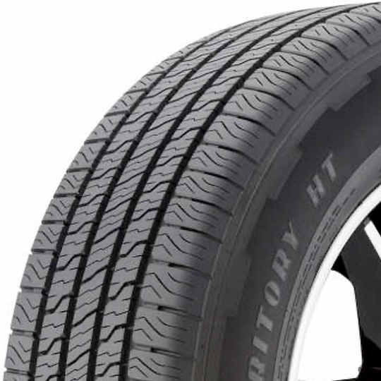 Goodyear Wrangler Territory HT 255/55 R 20 110V Goodyear Wrangler Territory HT 255/55 R 20 110V