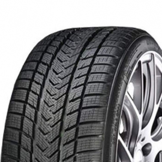 Gripmax Status Pro Winter 225/45 R 19 96V